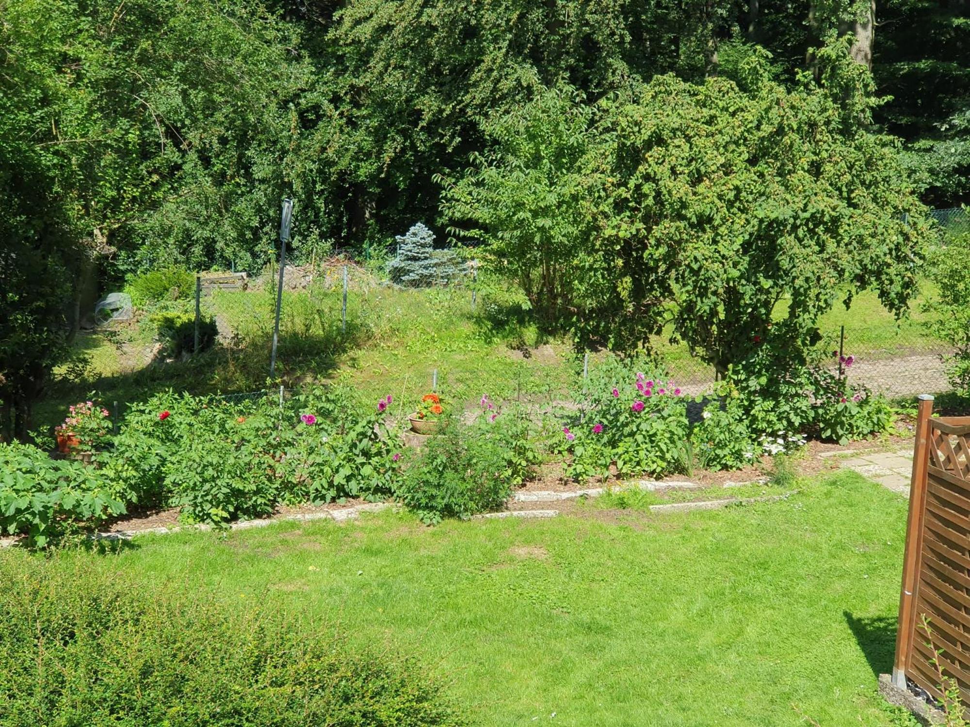 Ferienhaus In Geesthacht-Tesperhude Direkt Am Waldrand 外观 照片