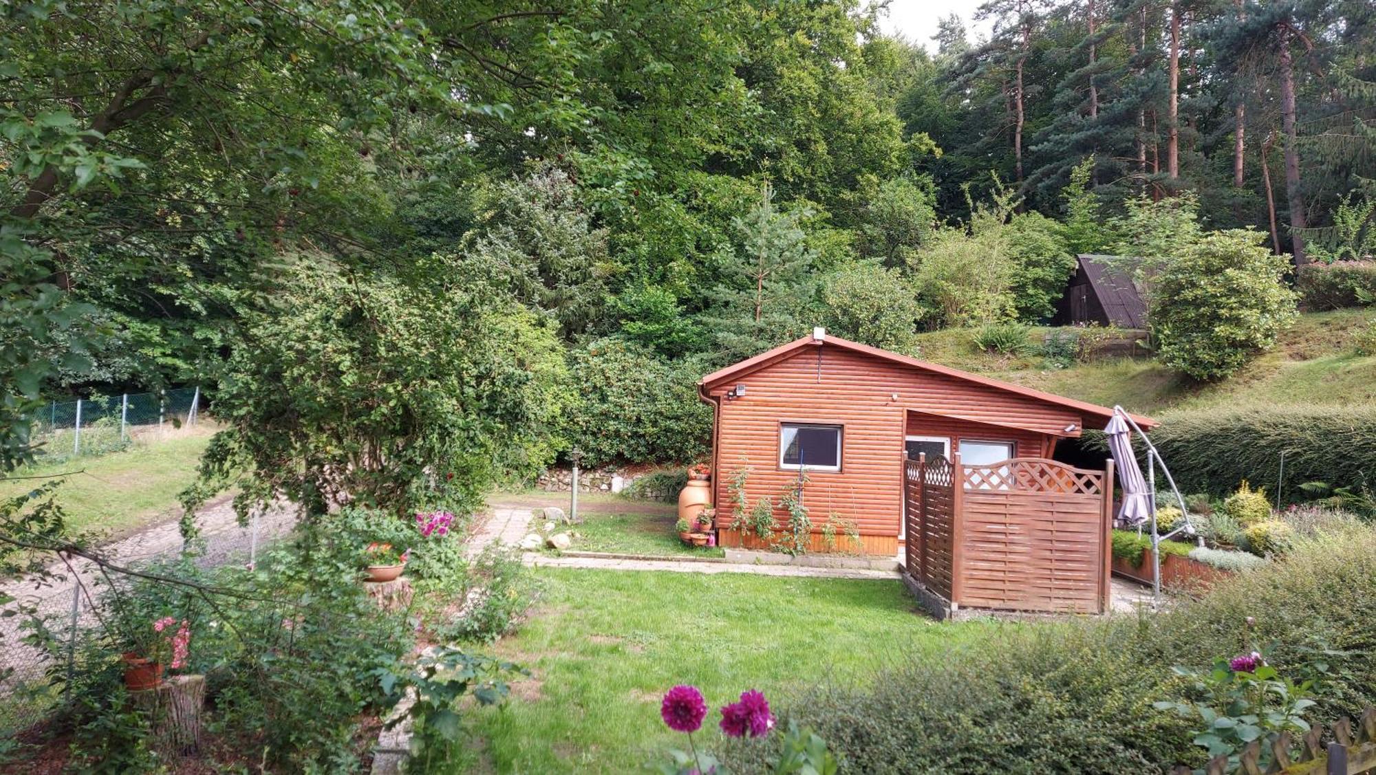 Ferienhaus In Geesthacht-Tesperhude Direkt Am Waldrand 外观 照片