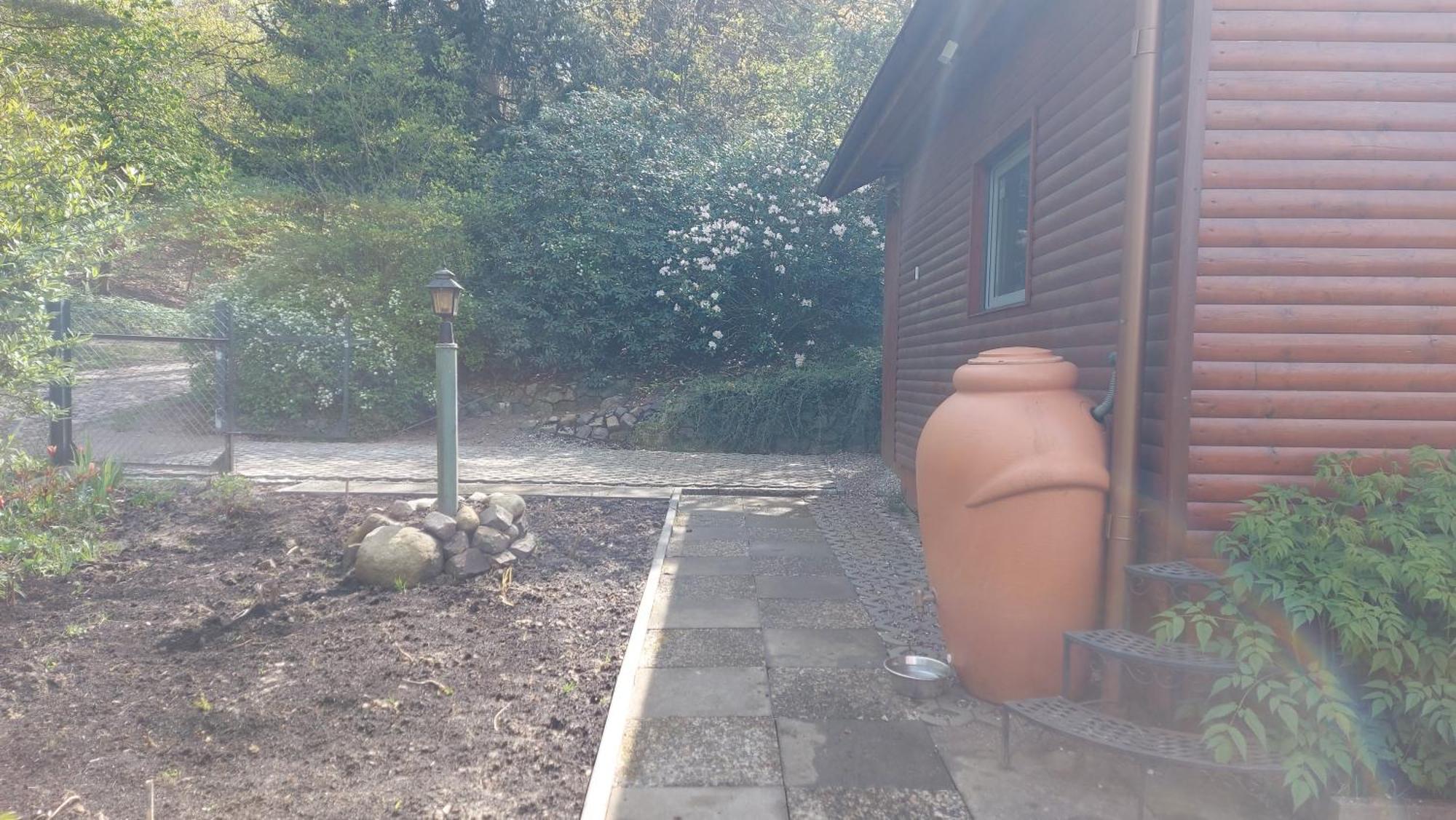 Ferienhaus In Geesthacht-Tesperhude Direkt Am Waldrand 外观 照片